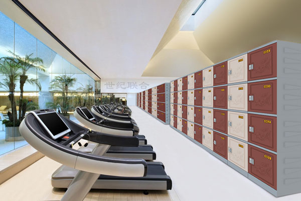 體育館健身房更衣柜儲物柜